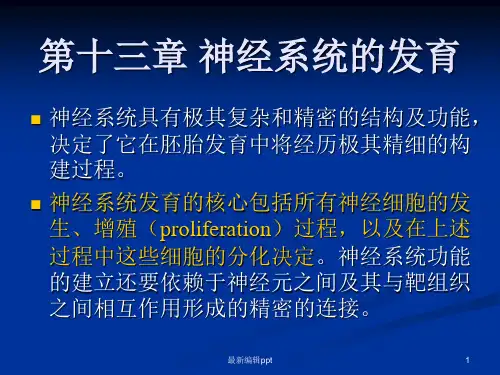 发育生物学第十三章 神经系统的发育