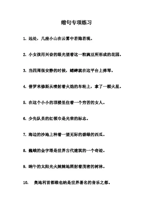 小学语文缩句专项练习