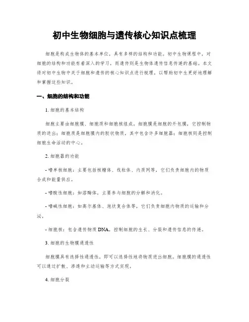初中生物细胞与遗传核心知识点梳理