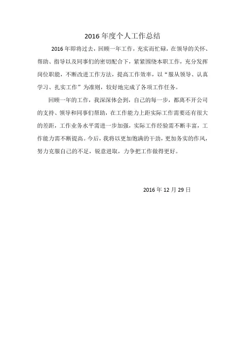 2016年度个人工作总结