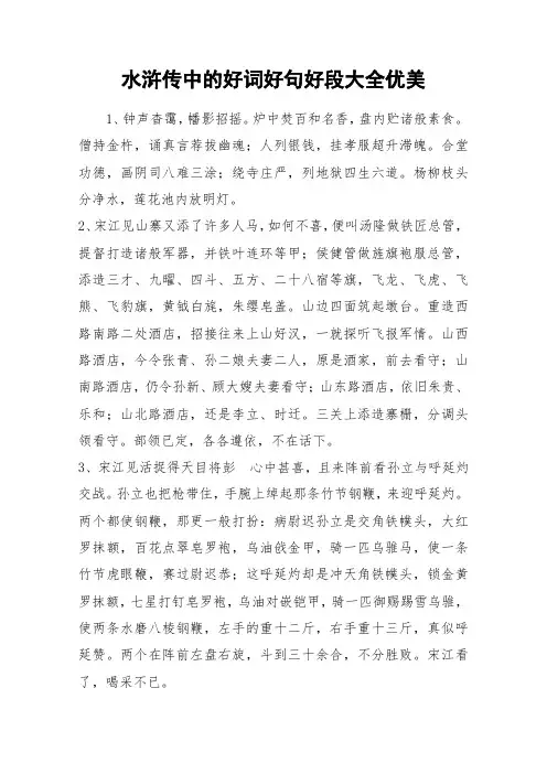 水浒传中的好词好句好段大全优美_作文