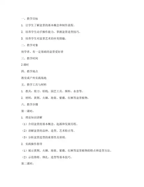 盆景造型教学教案模板范文