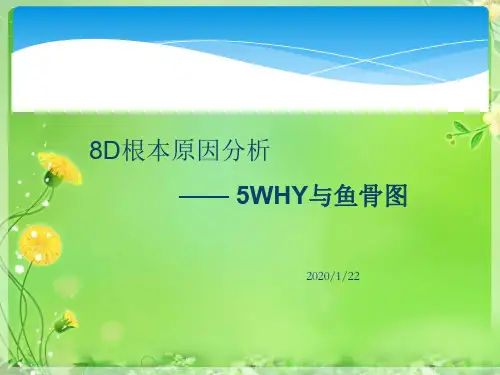 8D根本原因分析之5WHY与鱼骨图完整版精品PPT课件