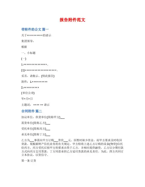 报告附件范文范文