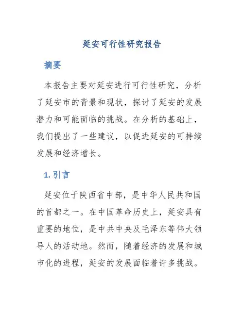 延安可行性研究报告