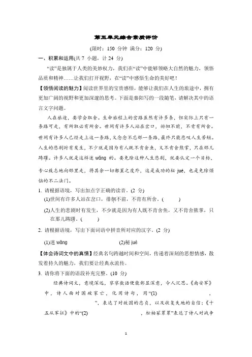 2024-2025学年部编版语文九年级下册第五单元综合素质评价(含答案)