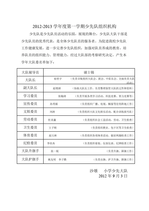 大队委成员登记表