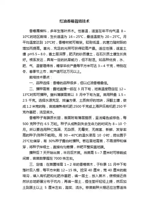红油香椿栽培技术