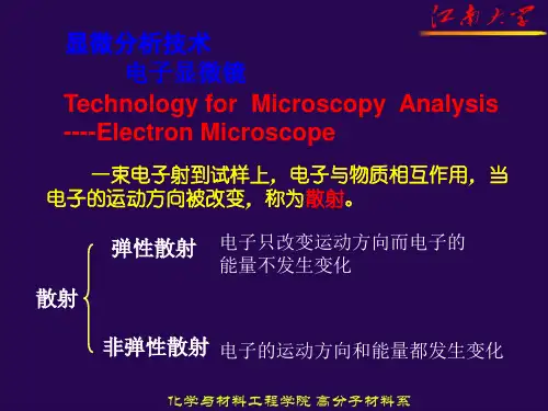显微分析技术电子显微镜