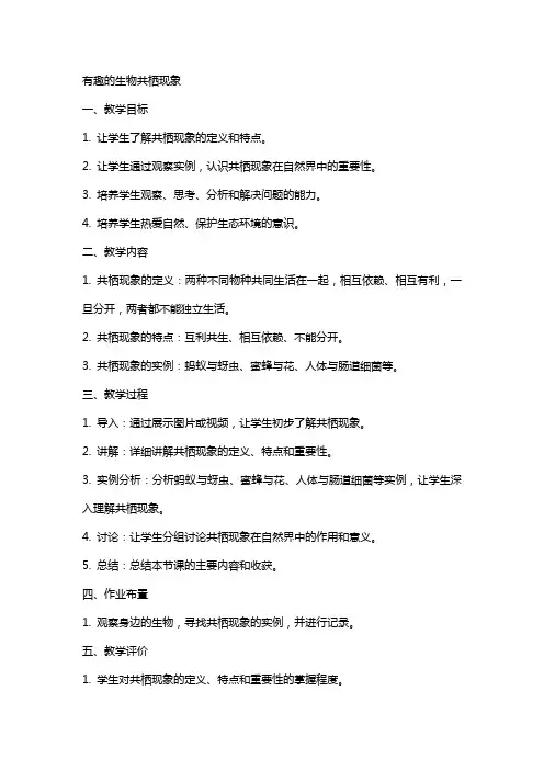 有趣的生物共栖现象初中教案