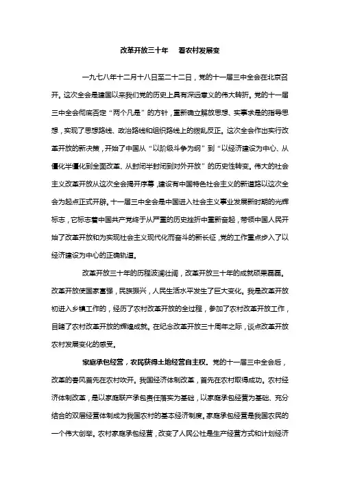 改革开放三十年