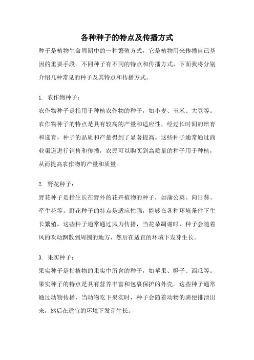 各种种子的特点及传播方式