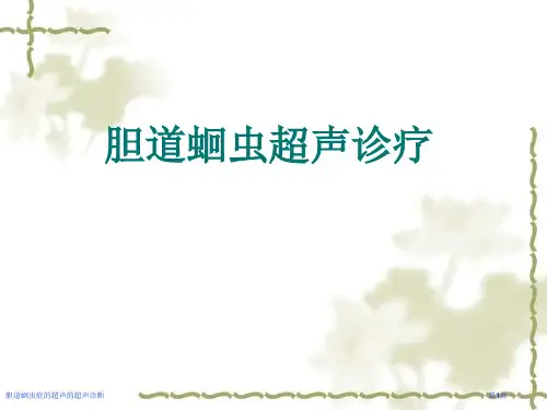 胆道蛔虫症的超声的超声诊断
