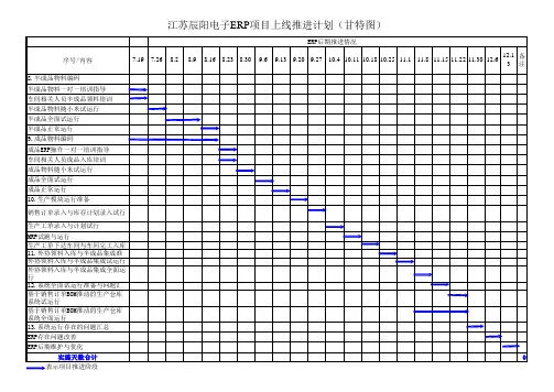 实施计划表(甘特图)