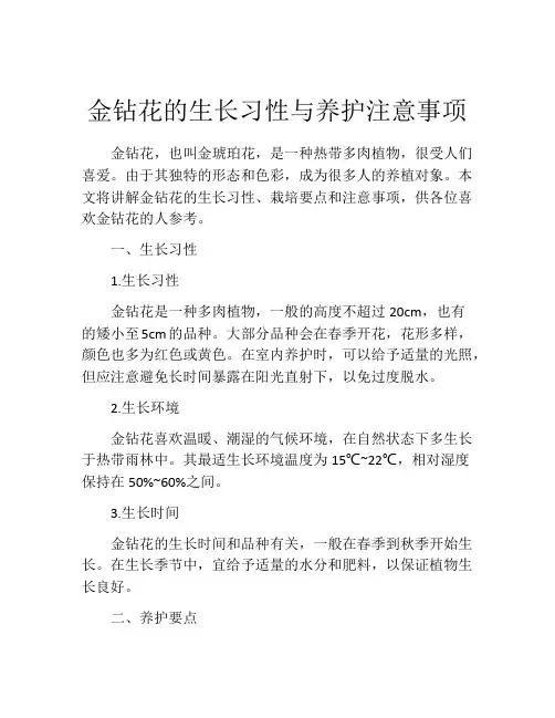 金钻花的生长习性与养护注意事项