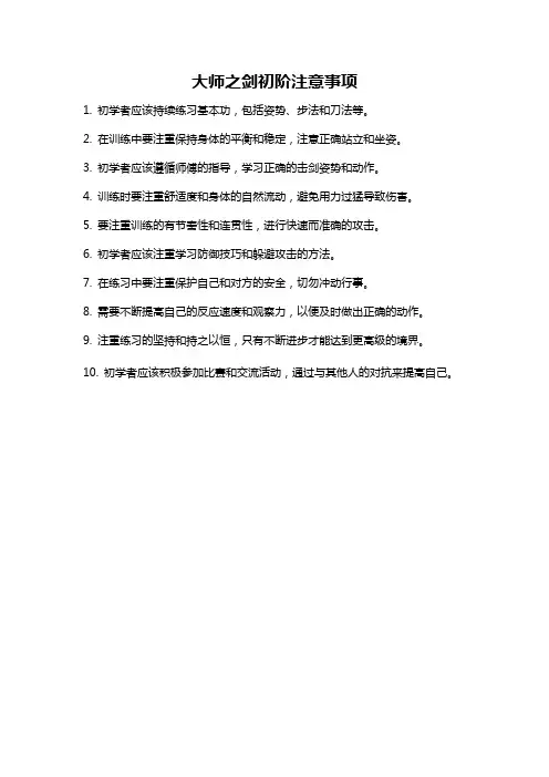 大师之剑初阶注意事项