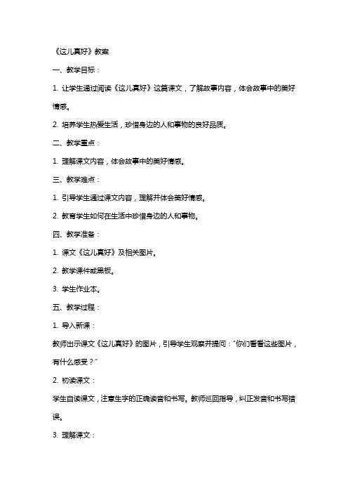 《这儿真好》教案