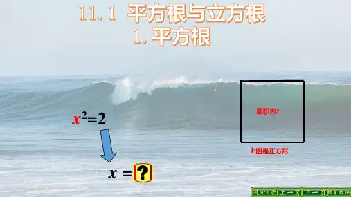 八年级数学上册-平方根PPT课件