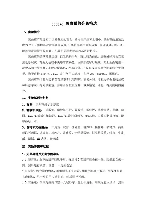 c27黑曲霉培养及分离纯化