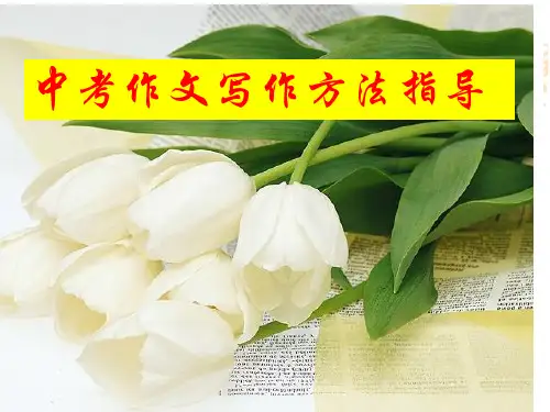 中考考场作文  写作方法技巧指导.ppt
