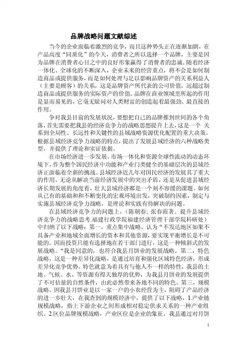品牌战略问题文献综述