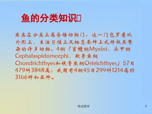 [新版]第一节_养殖鱼的形态结构.ppt