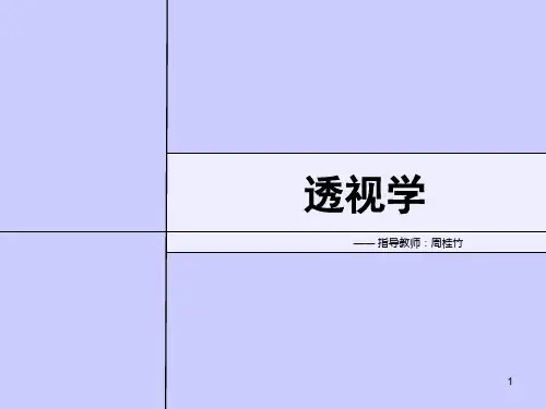 透视——名词解释和基本原理(课堂PPT)
