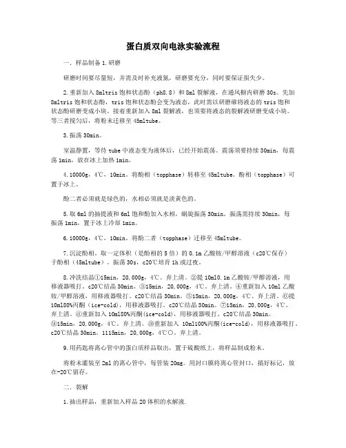 蛋白质双向电泳实验流程