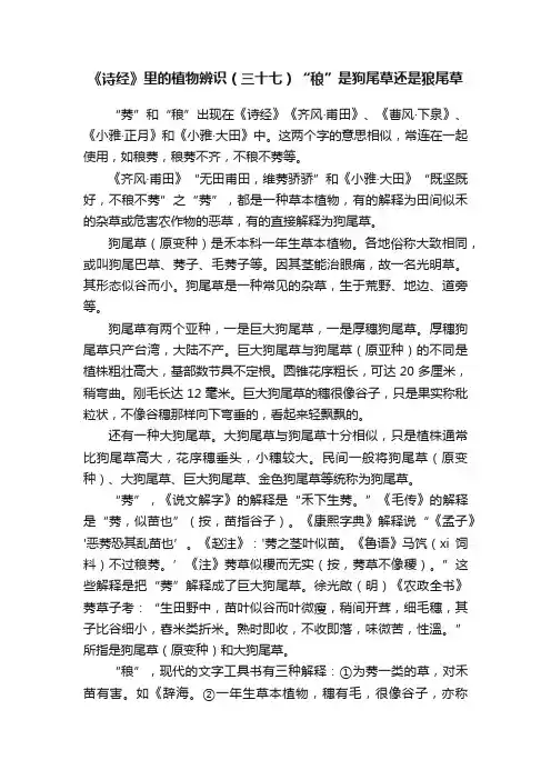 《诗经》里的植物辨识（三十七）“稂”是狗尾草还是狼尾草