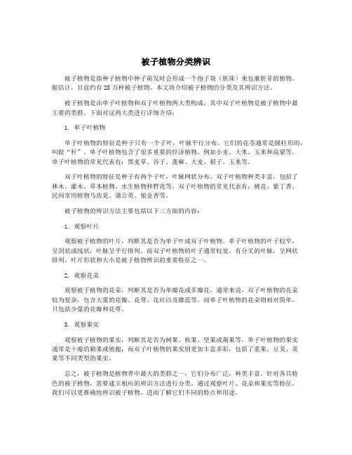 被子植物分类辨识