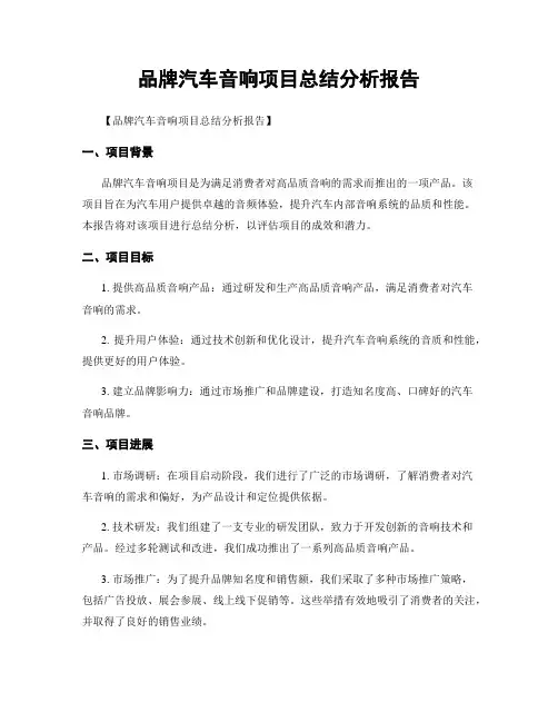 品牌汽车音响项目总结分析报告