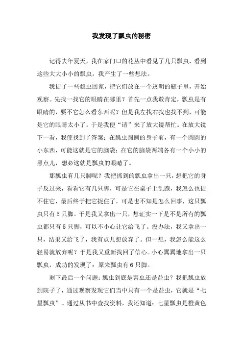 我发现了瓢虫的秘密