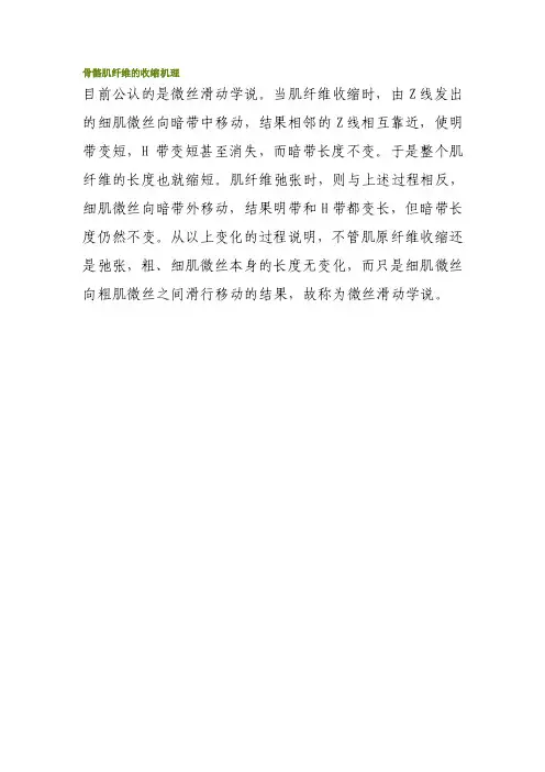 骨骼肌纤维的收缩机理