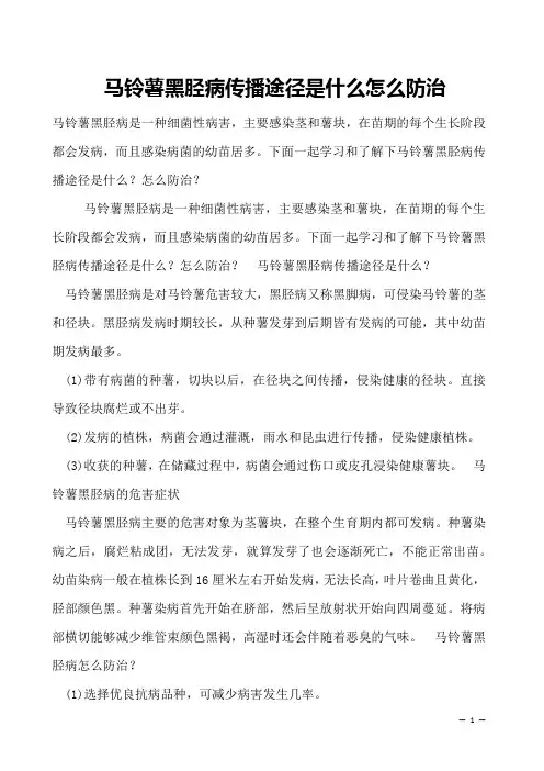 马铃薯黑胫病传播途径是什么怎么防治