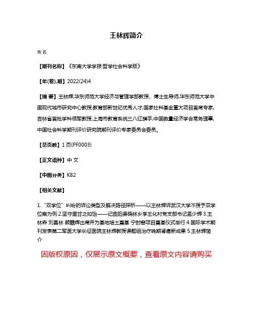 王林辉简介