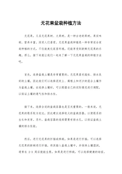无花果盆栽种植方法