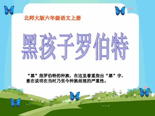 《黑孩子罗伯特》PPT精选优质教学课件4