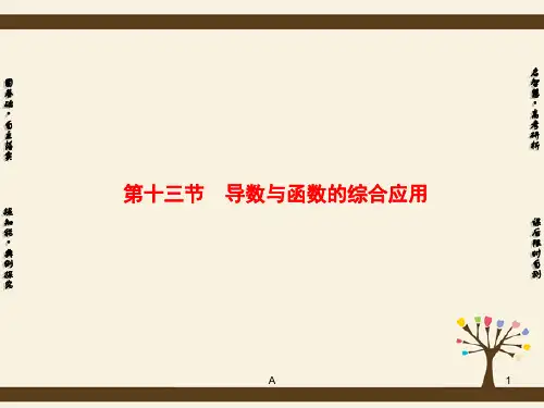 高考高考数学总复习 第二章 第13节 导数与函数的综合应用课件