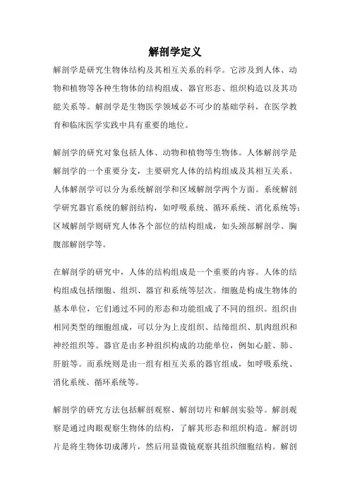 解剖学定义