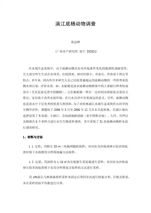 漓江底栖动物调查