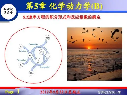 上海交通大学物理化学PPT化学动力学汇总.