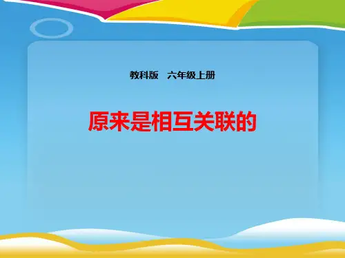 《原来是相互关联的》生物的多样性PPT