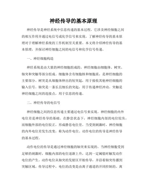 神经传导的基本原理