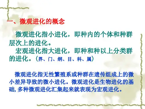 第七章生物的微观进化ppt课件