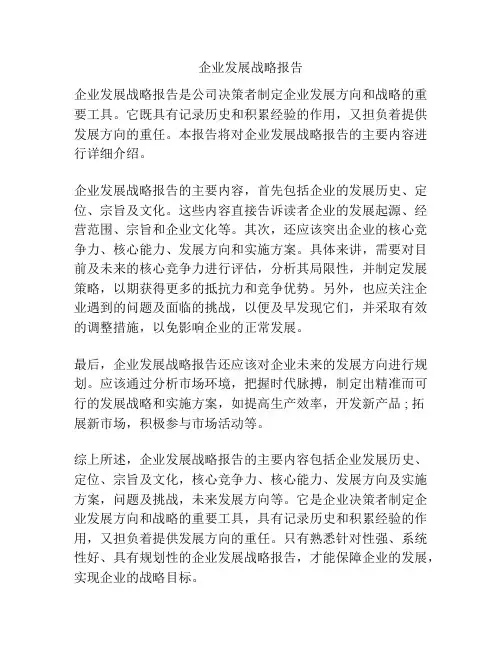 企业发展战略报告