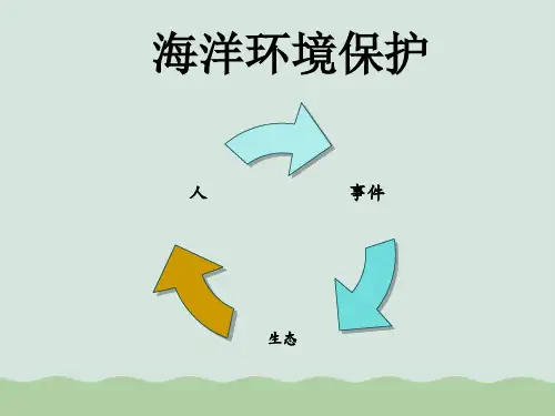 海洋环境保护(ppt 53页)