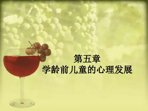 学前儿童的心理发展 PPT课件