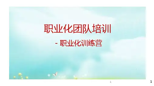 职业化团队培训-PPT课件