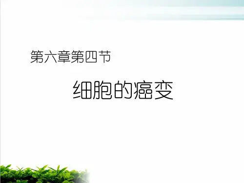 人教版生物必修一《细胞的癌变》经典ppt课堂课件