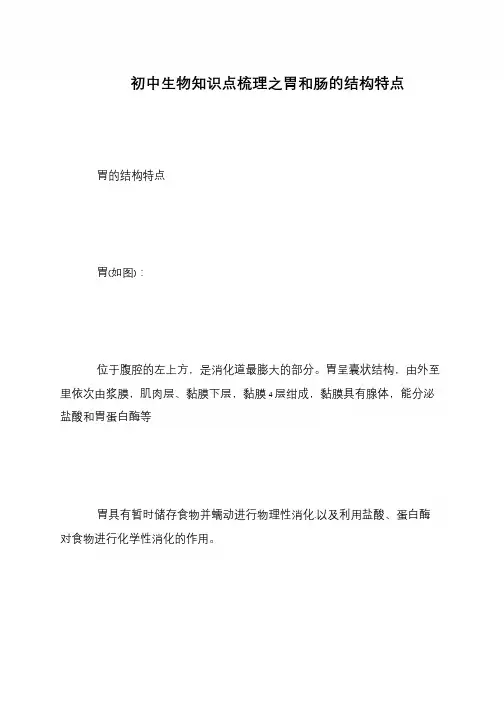 初中生物知识点梳理之胃和肠的结构特点